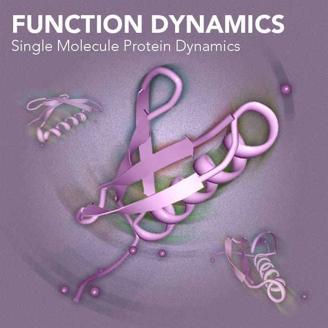 Illustration of Function Dynamics
